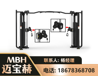 周口大飞鸟训练器